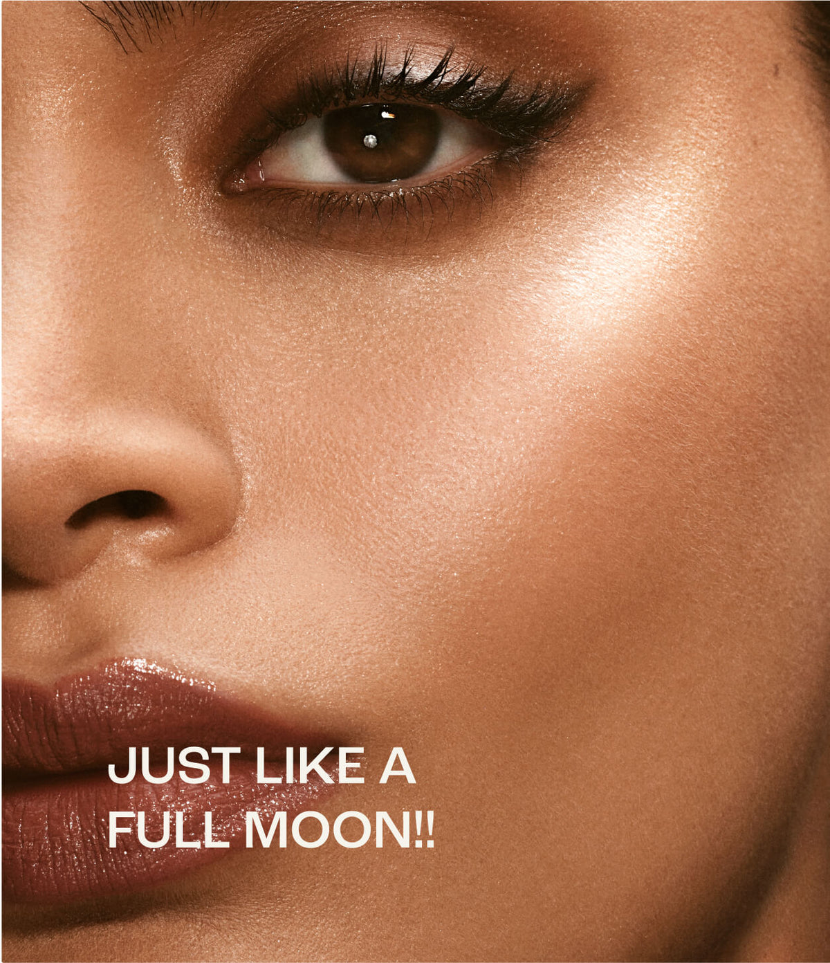 Full-Use Brush - Azora Beauty