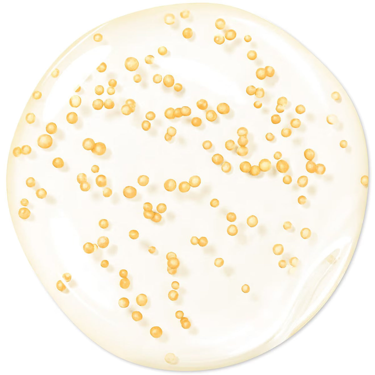 Abeille Royale Youth Watery Oil Serum - Azora Beauty