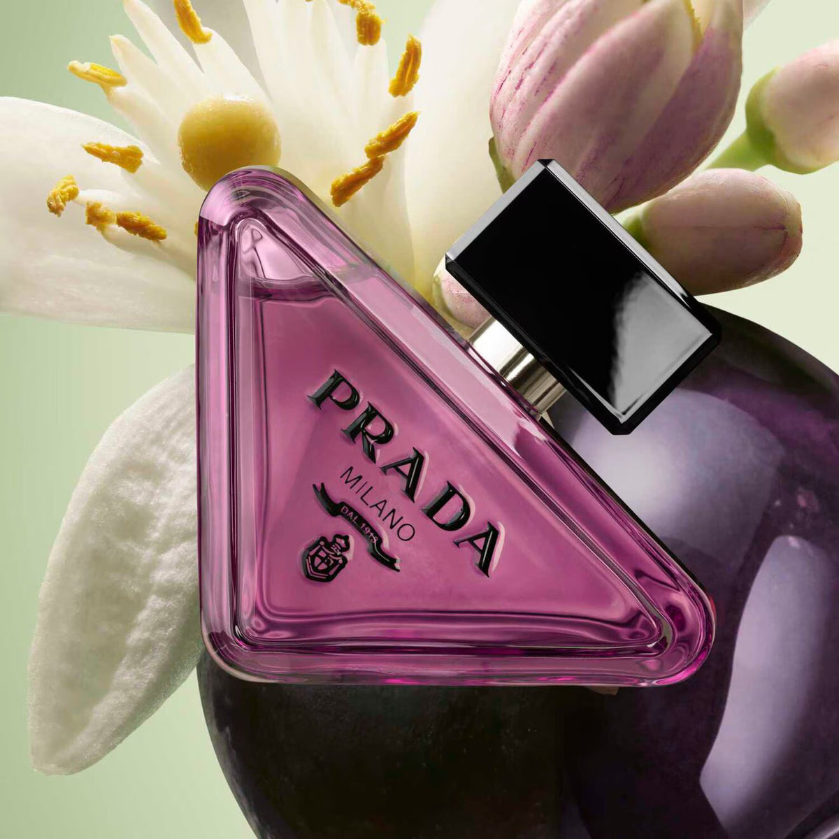 Paradoxe Sweet Chemistry - Azora Beauty