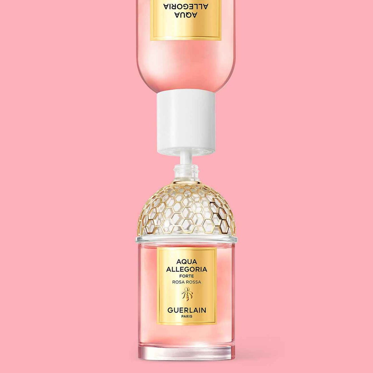 Aqua Allegoria Forte Rosa Rossa Eau De Parfum