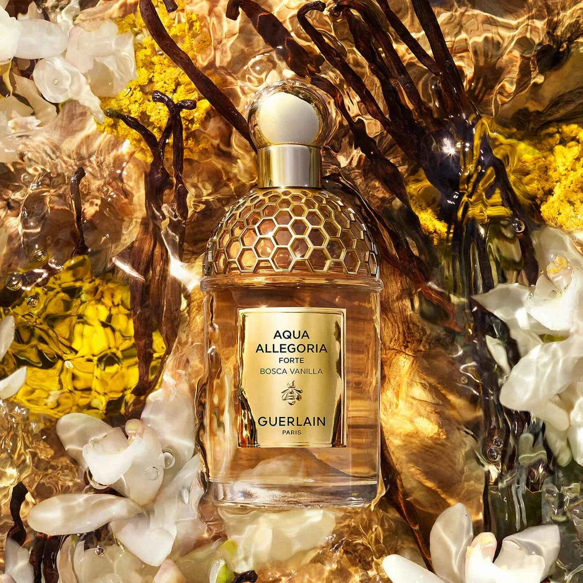 Aqua Allegoria Forte: Bosca Vanilla - Eau De Parfum