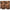 Multi-Level Exfoliation Trial Kit - Azora Beauty