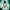 Emerald Musk - Eau De Parfum