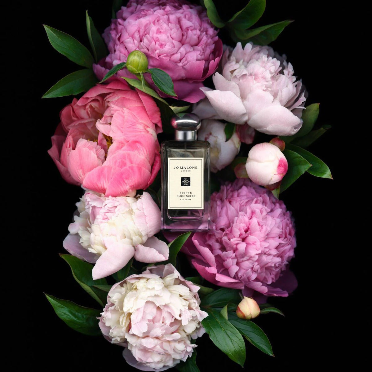 Peony & Blush Suede Cologne