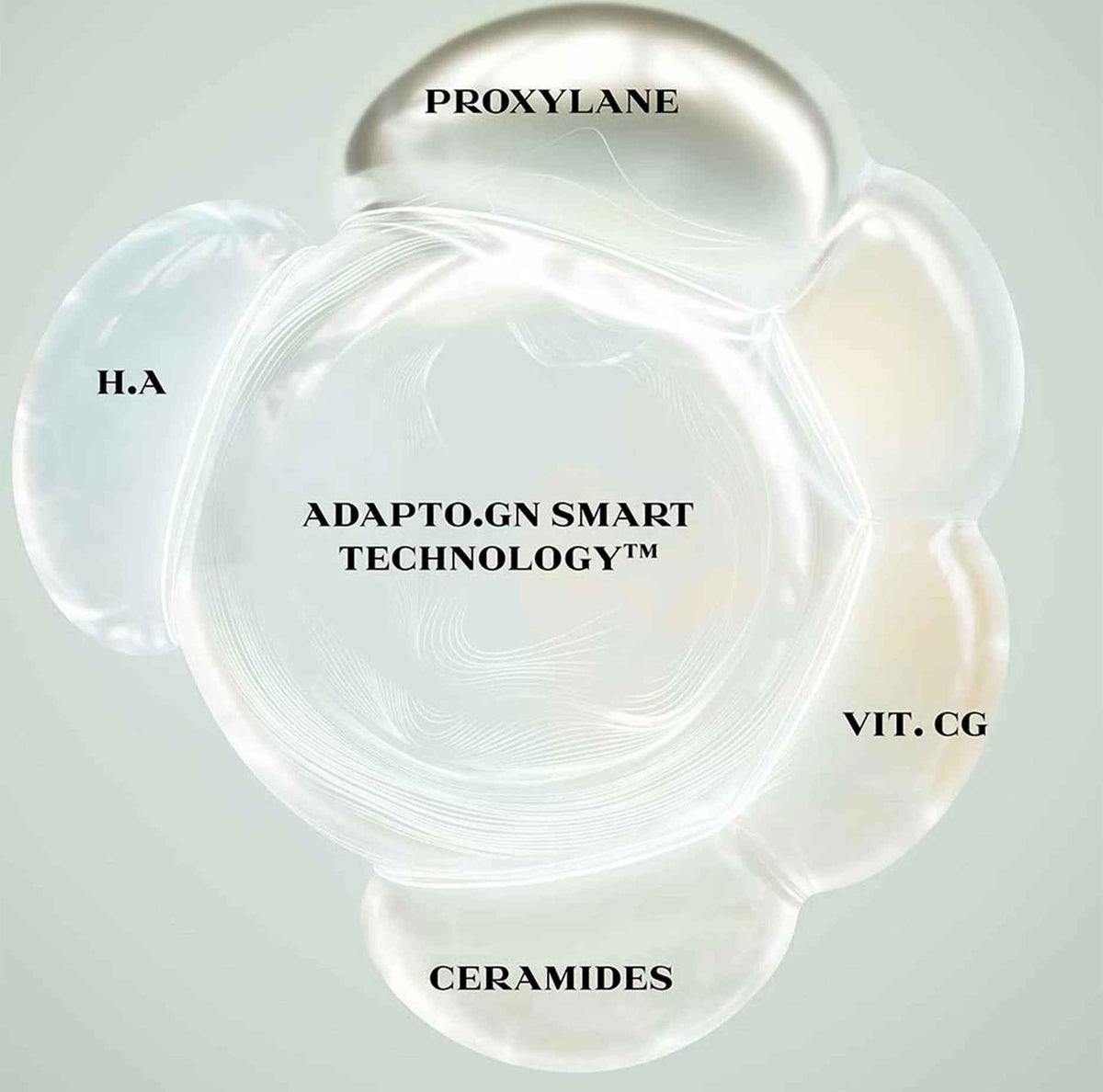 Augmented Skin The Cream