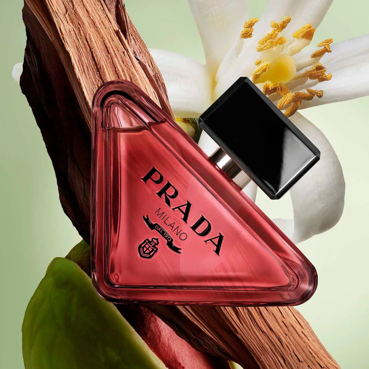 Paradoxe Radical Essence - Azora Beauty