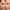Conceal Concealer