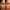 Conceal Concealer