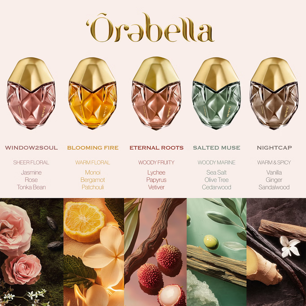 Salted Muse Parfum - Azora Beauty
