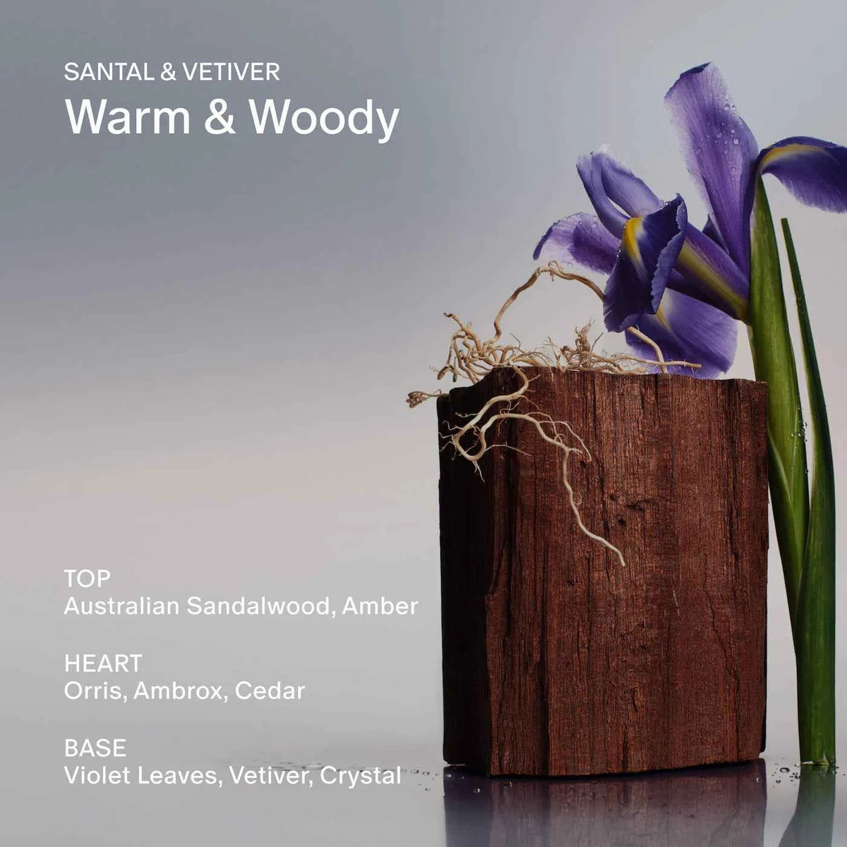 Santal & Vetiver Body Lotion