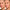 Skin Tint Long-Wear & Care - Azora Beauty