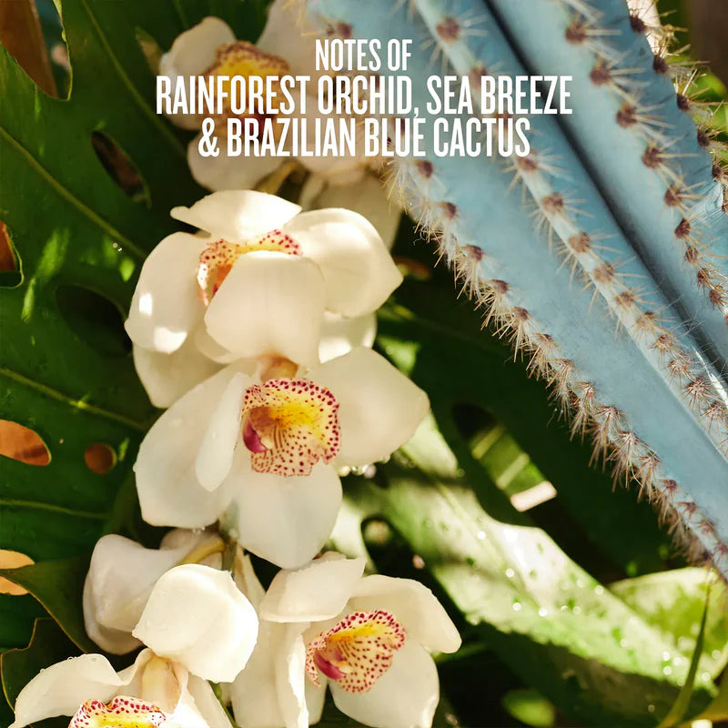Refresco Paraíso Perfume Mist - Azora Beauty