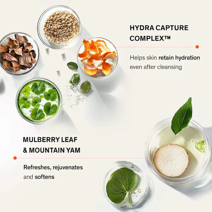 Gentle Cleansing Foam