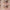 The Silk Peony Line-Smoothing Eye Cream