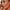 The Big Buffing Bronzer Brush - Azora Beauty