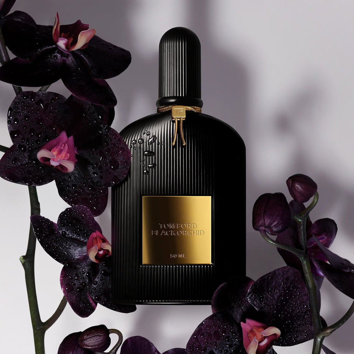 Black Orchid - Eau De Parfum - Azora Beauty