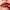 Runway Lip Color
