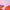 Watermelon Glow AHA Pink Dream™ Body Cream