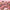 Make Me Blush - Bold Blurring Blush