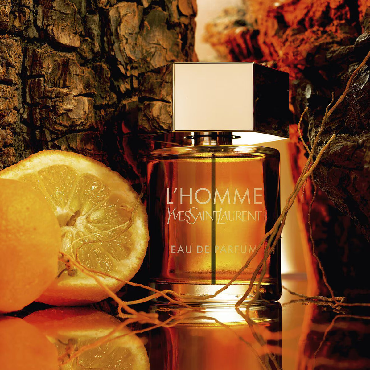 L'Homme Eau De Parfum - Azora Beauty