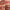 Prisma Flash Glossy Lip Balm - Azora Beauty