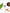 Skin Illusion All-in-One Concealer