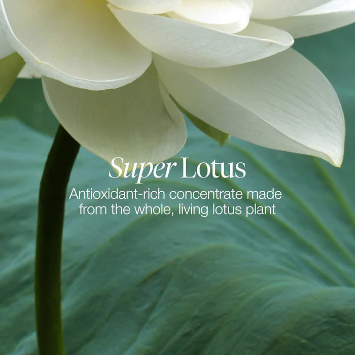 Lotus Youth Preserve Line & Texture Smoothing Moisturizer