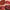 Prisma Flash Glossy Lip Balm - Azora Beauty