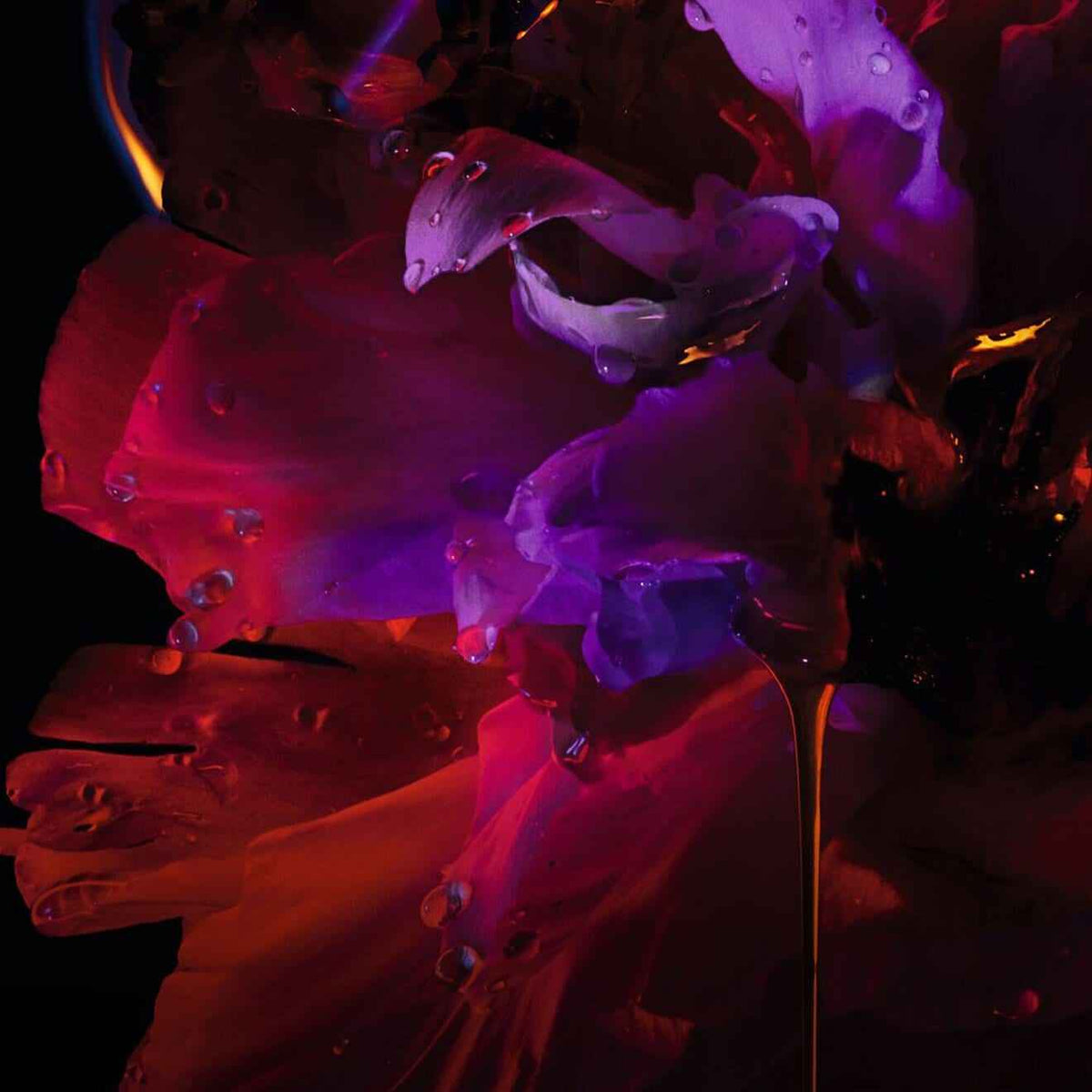 Hypnotic Poison Eau De Parfum