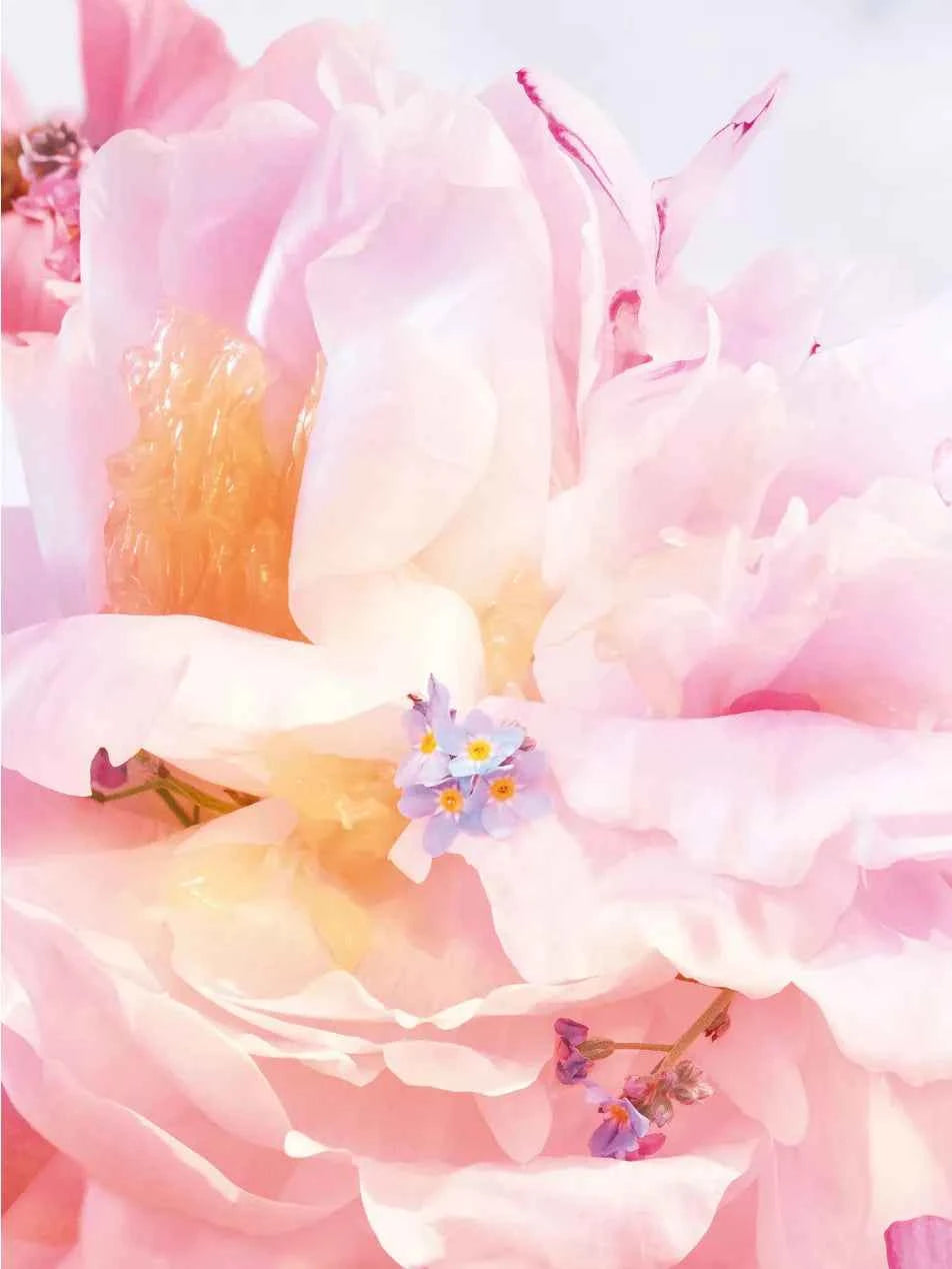 Miss Dior Blooming Bouquet Hair Mist