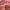 Prisma Flash Glossy Lip Balm - Azora Beauty