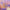 Joyphoria - Azora Beauty