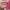 Powermatte High Intensity Lipstick