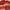 Prisma Flash Glossy Lip Balm - Azora Beauty