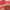 Prisma Flash Glossy Lip Balm - Azora Beauty