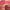 Prisma Flash Glossy Lip Balm - Azora Beauty